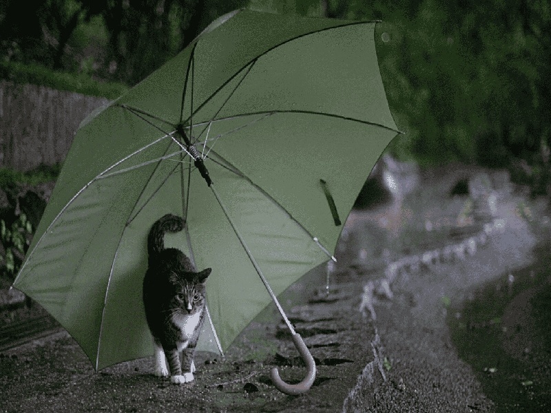 试管出现意外试管婴儿药物市场倒扣的试管叫